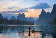 2021国产大象传媒-2021年国产大象传媒的崛起与影响