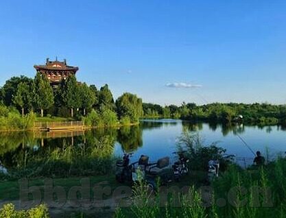 八妻子伦理电影在线-八妻子，伦理边界的微妙探索