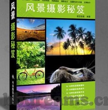 大象传媒黄板-探索大象传媒与黄板，构建和谐人兽共存的新桥梁