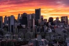大象回家视频隐藏-迷雾中的归途，大象回家视频的隐秘之旅
