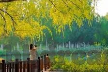 久久婷婷国产麻豆91天堂-艺术与现实的精准碰撞，国产美学的细致诠释