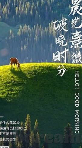 守望人妻照片-守望人妻，爱与责任的边缘