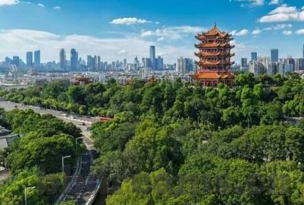 糖心app永久兑换码-探索健康与数字世界的平衡，理性看待糖心app永久兑换码现象